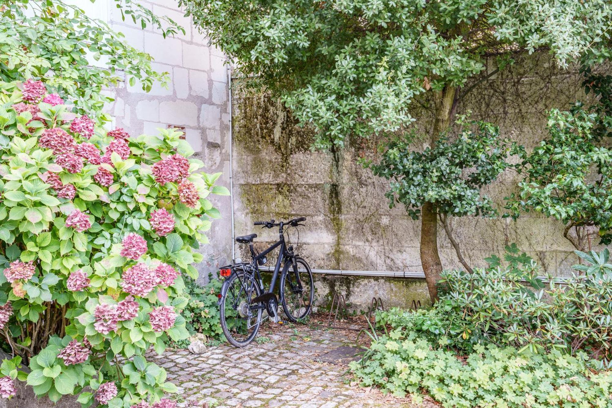 Appartement Raffine Vue Cathedrale, Jardin, Wifi Tours Zewnętrze zdjęcie